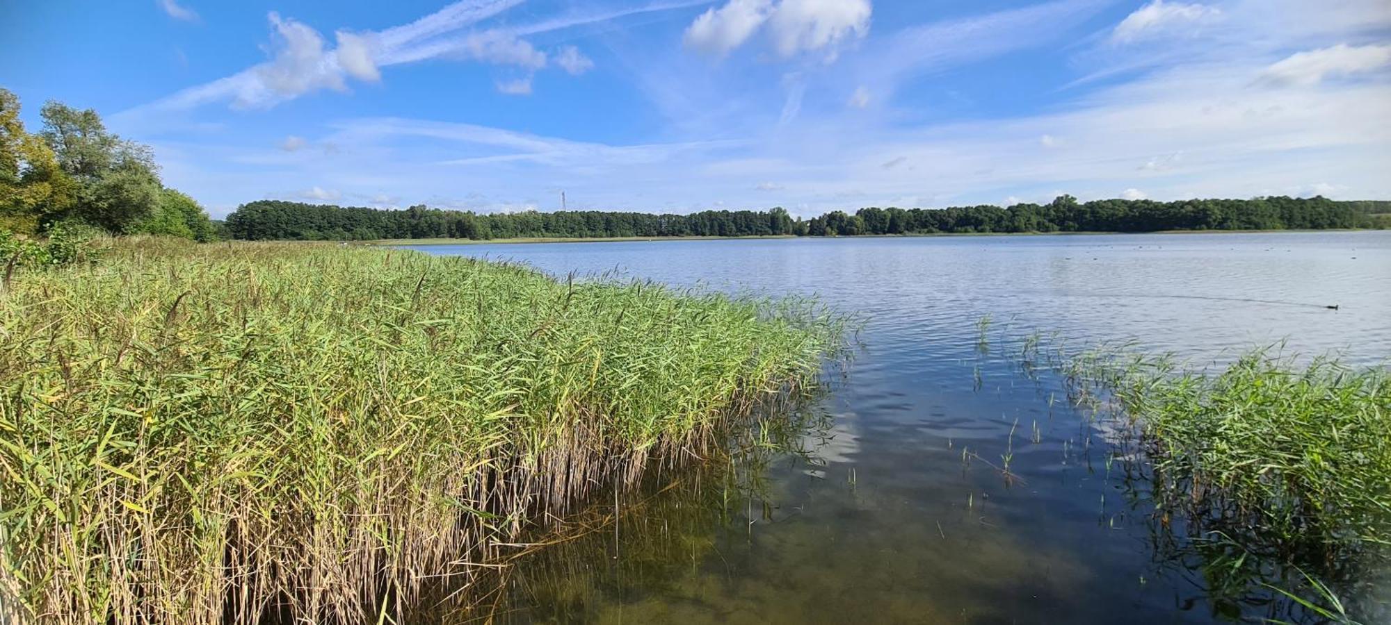Ferienhof Am Kaebelicksee Kratzeburg Bagian luar foto